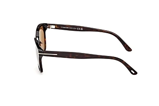 Seitenansicht Tom Ford GRAYDON (FT1213 - 52E)
