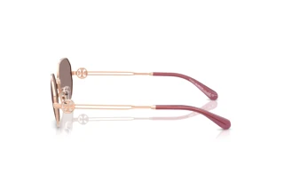 Seitenansicht Tory Burch TY6113 (33587N)