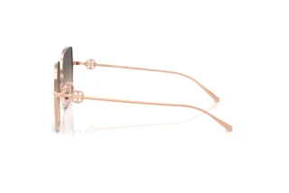 Seitenansicht Tory Burch TY6118D (3358G9)