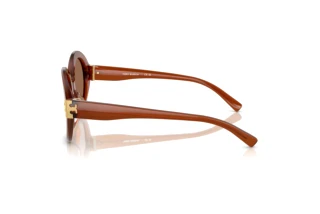 Seitenansicht Tory Burch TY7210U (317673)