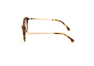 Seitenansicht VOOY by edel-optics Artmuseum Sun (101-02)