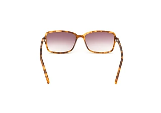 Rückansicht VOOY by edel-optics Homework Sun (106-02)