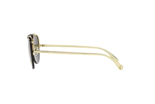 Seitenansicht Versace VE2231 (100287)