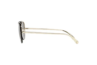 Seitenansicht Versace VE2231 (12526G)