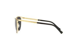 Seitenansicht Versace VE2237 (100287)