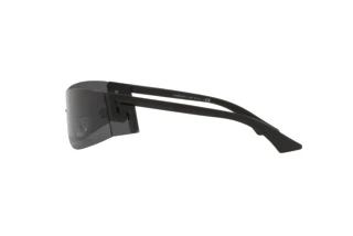 Seitenansicht Versace VE2241 (125687)
