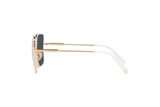 Seitenansicht Versace VE2247D (147187)