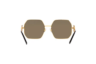 Rückansicht Versace VE2248 (10027P)