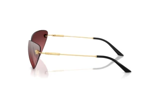 Seitenansicht Versace VE2281 (10027E)