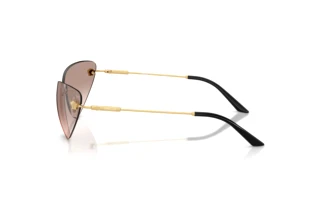 Seitenansicht Versace VE2281 (10028Z)