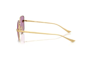 Seitenansicht Versace VE2282 (1002AK)