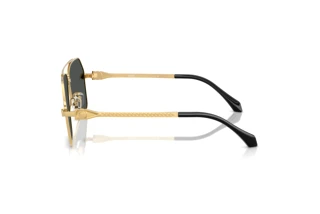 Seitenansicht Versace VE2284 (100287)