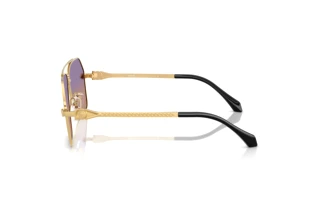 Seitenansicht Versace VE2284 (1002EL)