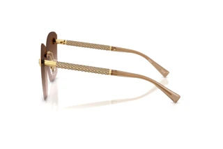 Seitenansicht Versace VE2292B (100213)