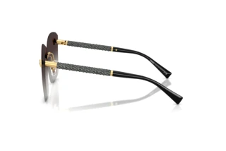 Seitenansicht Versace VE2292B (10028G)