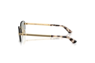 Seitenansicht Versace VE2307 (15238V)