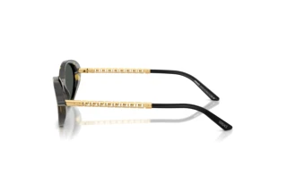 Seitenansicht Versace VE4469 (547087)