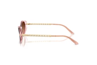 Seitenansicht Versace VE4469 (54725M)