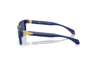 Seitenansicht Versace VE4490U (545087)