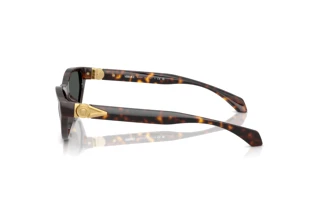 Seitenansicht Versace VE4491U (108/87)