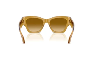 Rückansicht Versace VE4492U (53472L)