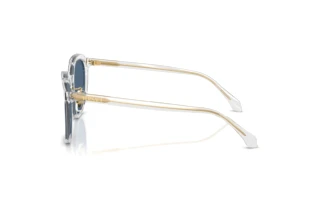 Seitenansicht Versace VE4493D (551971)