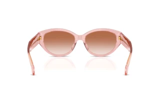 Rückansicht Versace VE4495D (543413)