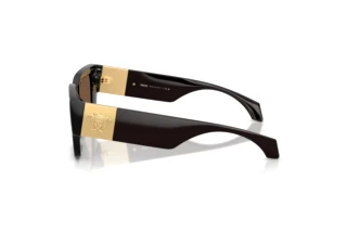 Seitenansicht Versace VE4497U (554373)