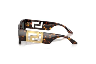 Seitenansicht Versace VE4506U (108/87)