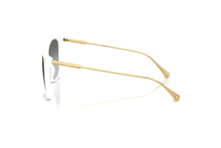 Seitenansicht Versace VE4507U (314/11)