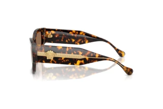 Seitenansicht Versace VE4509U (551473)