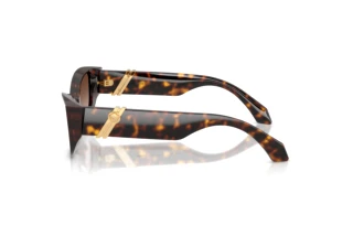 Seitenansicht Versace VE4520U (108/13)