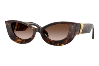 Vorderansicht Versace VE4520U (108/13)