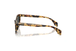 Seitenansicht Versace VE4522U (777/87)