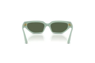 Rückansicht Vogue Eyewear VJ2029 (320571)