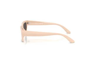Seitenansicht Vogue Eyewear VJ2029 (320687)