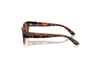Seitenansicht Vogue Eyewear VJ2029 (W65673)