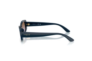 Seitenansicht Vogue Eyewear VJ2031 (324068)