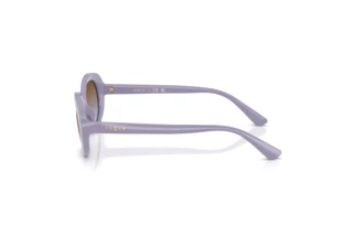 Seitenansicht Vogue Eyewear VJ2032 (321048)
