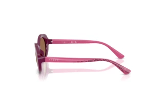 Seitenansicht Vogue Eyewear VJ2032 (321373)