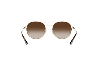 Rückansicht Vogue Eyewear VO4206S (848/13)