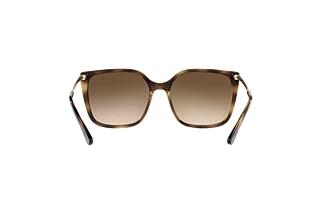 Rückansicht Vogue Eyewear VO5353S (W65613)