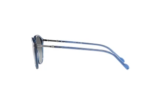 Seitenansicht Vogue Eyewear VO5432S (298311)