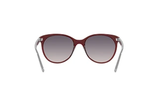 Rückansicht Vogue Eyewear VO5453S (292436)