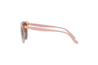Seitenansicht Vogue Eyewear VO5453S (2942T5)