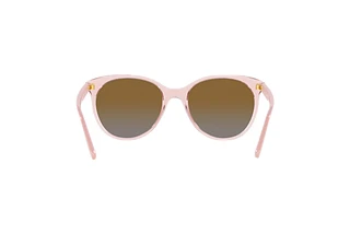 Rückansicht Vogue Eyewear VO5453S (2942T5)