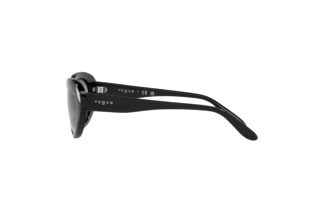 Seitenansicht Vogue Eyewear VO5456S (W44/11)