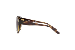 Seitenansicht Vogue Eyewear VO5457S (W65613)