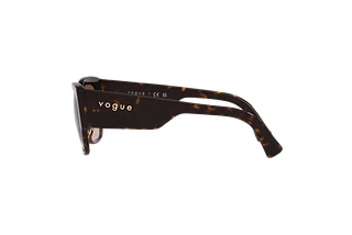Seitenansicht Vogue Eyewear VO5462S (W65613)