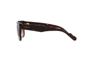 Seitenansicht Vogue Eyewear VO5490S (W65613)